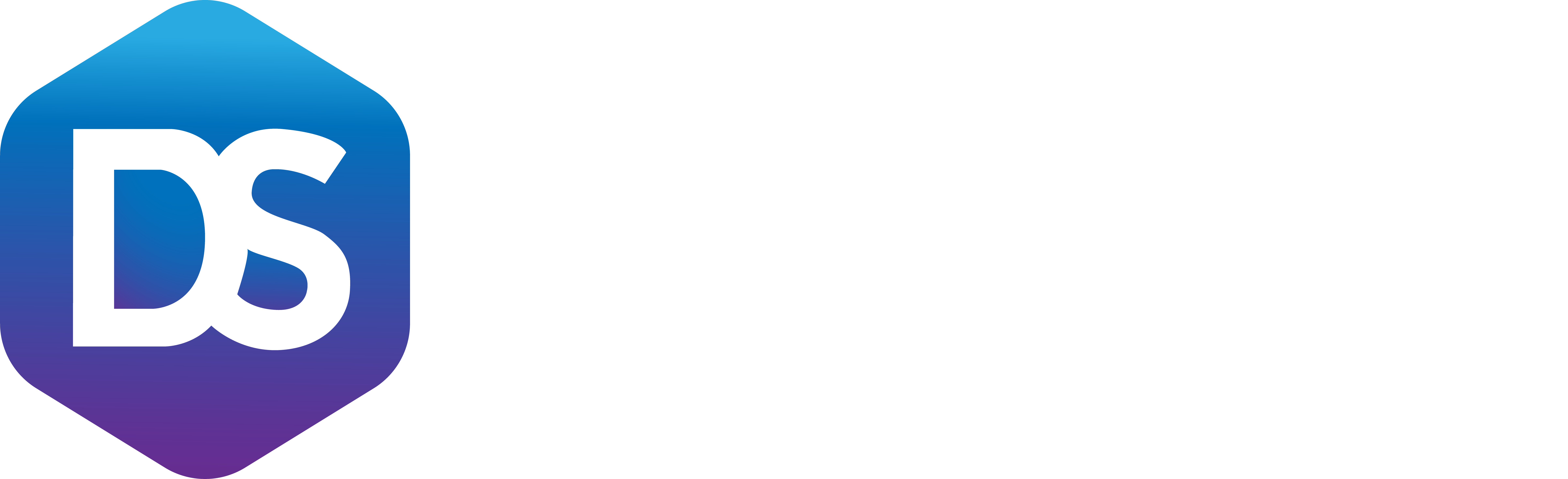 Datosistemas Logo